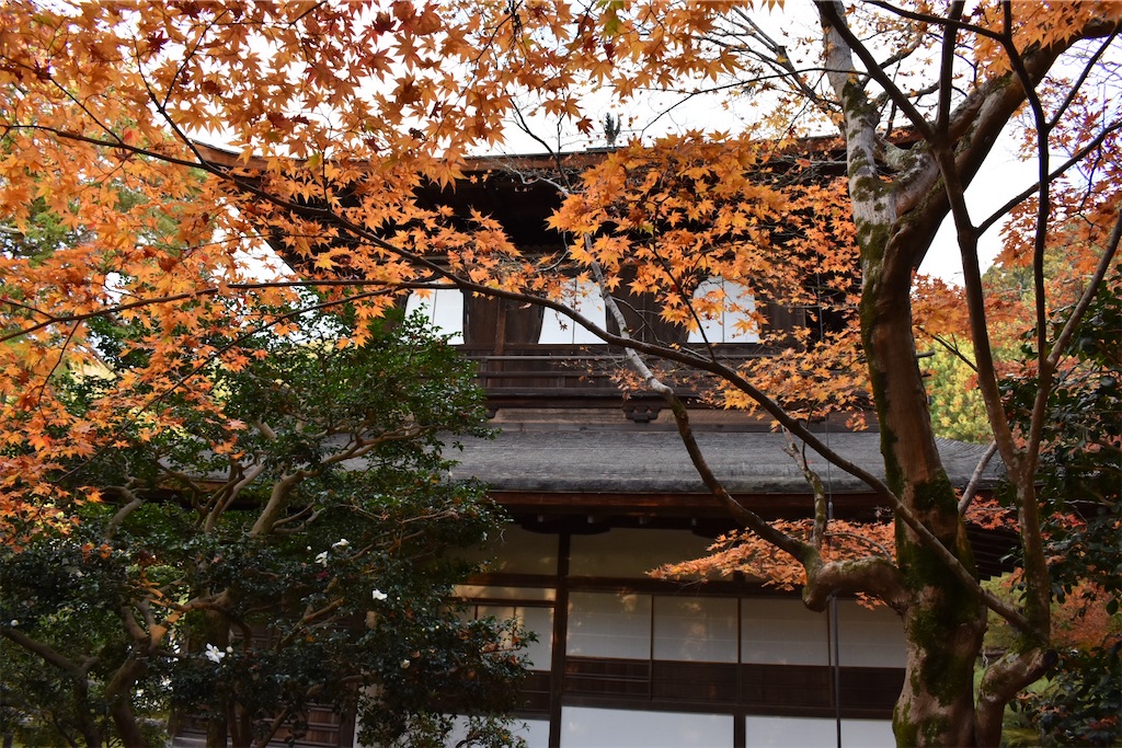 f:id:matsumotoyusuke:20210302145653j:image