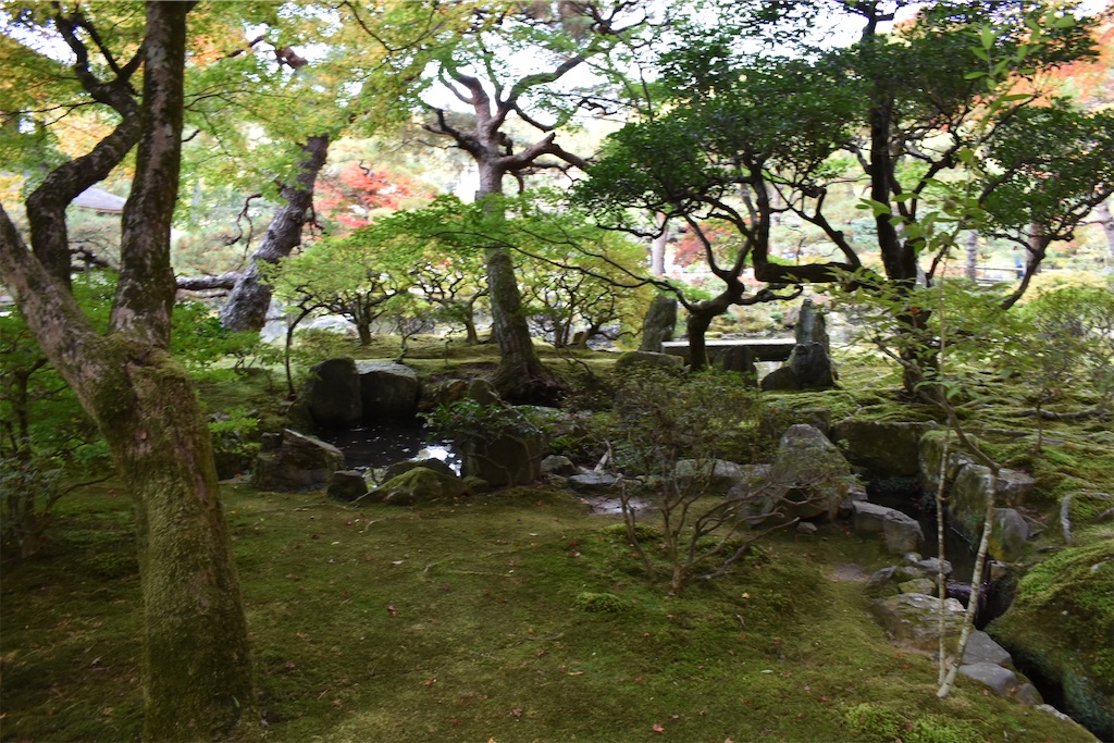 f:id:matsumotoyusuke:20210302145700j:image