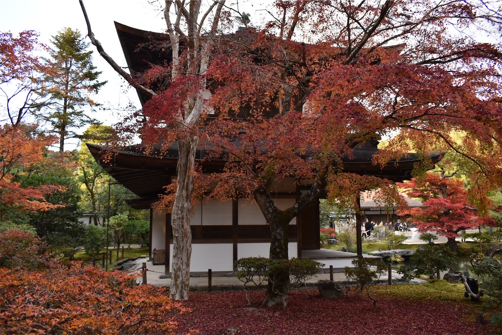 f:id:matsumotoyusuke:20210302145707j:image