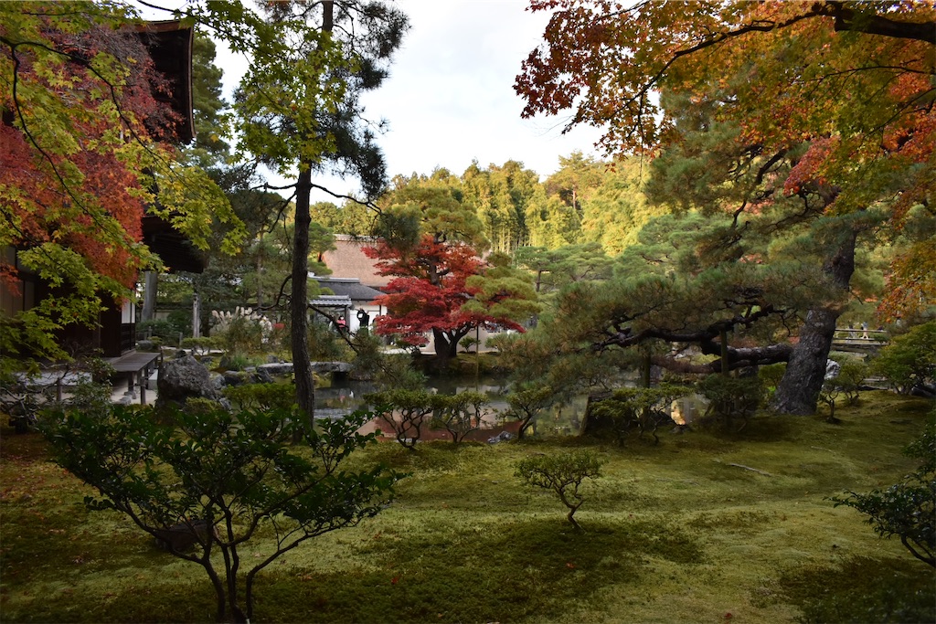 f:id:matsumotoyusuke:20210302145731j:image