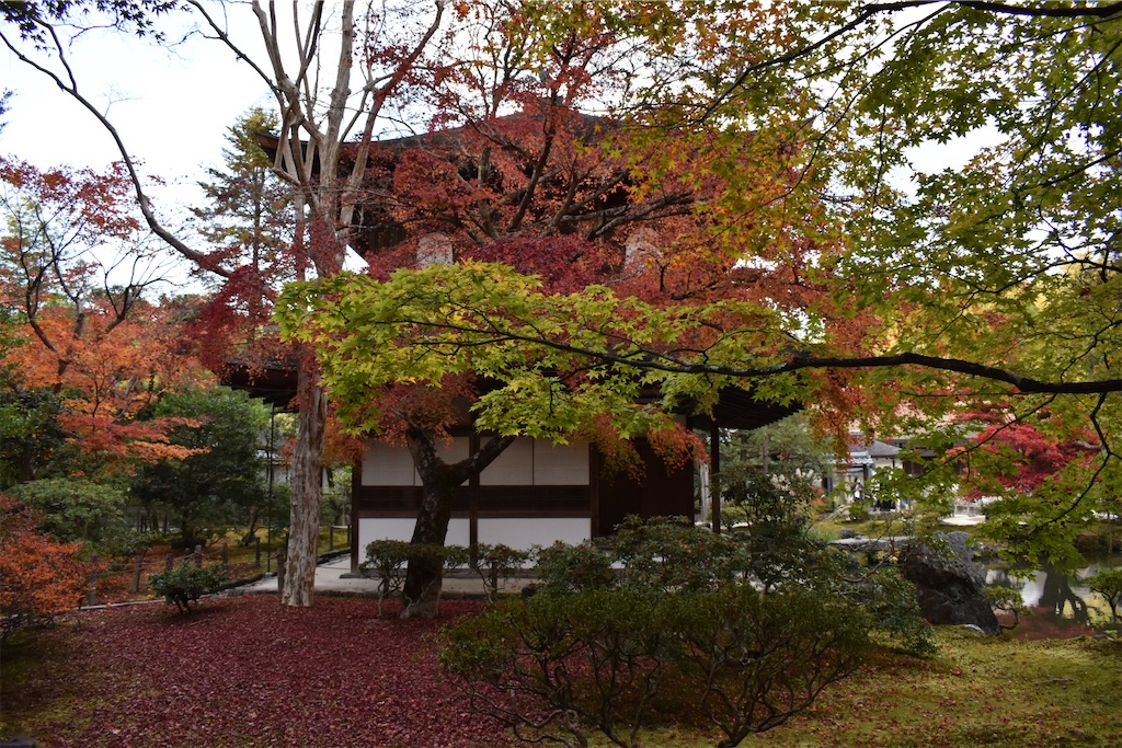 f:id:matsumotoyusuke:20210302145738j:image