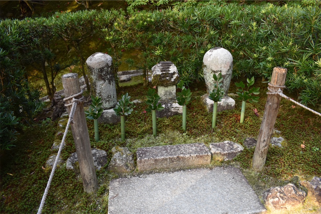 f:id:matsumotoyusuke:20210302150016j:image