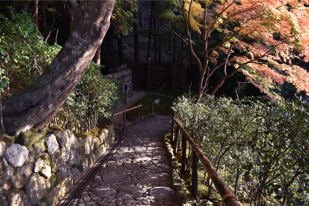 f:id:matsumotoyusuke:20210302150022j:image