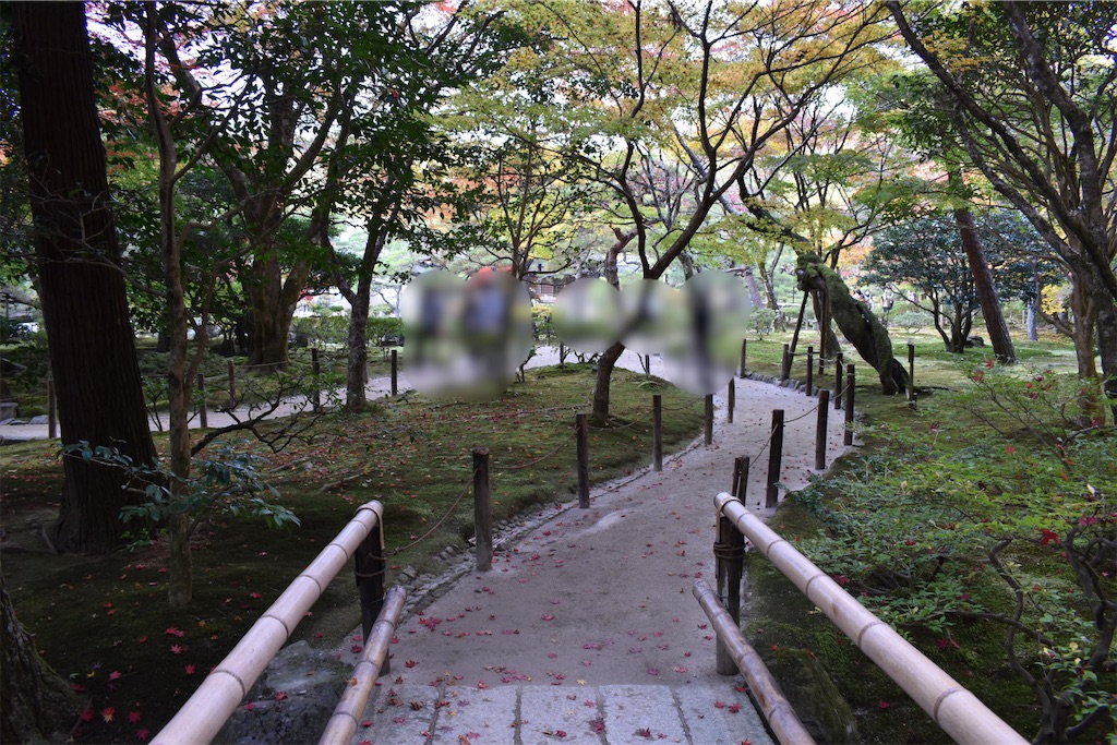 f:id:matsumotoyusuke:20210302150030j:image