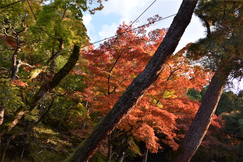 f:id:matsumotoyusuke:20210302150037j:image