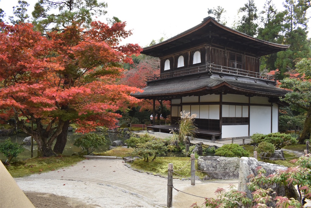 f:id:matsumotoyusuke:20210302150043j:image