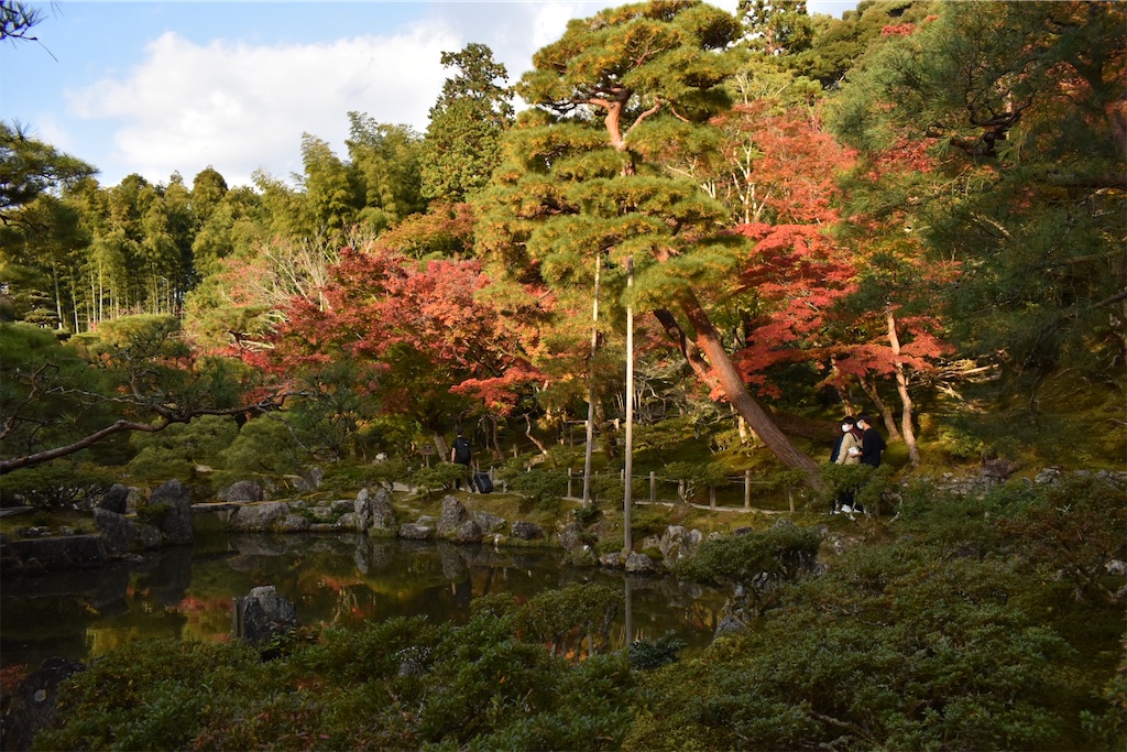 f:id:matsumotoyusuke:20210302150110j:image