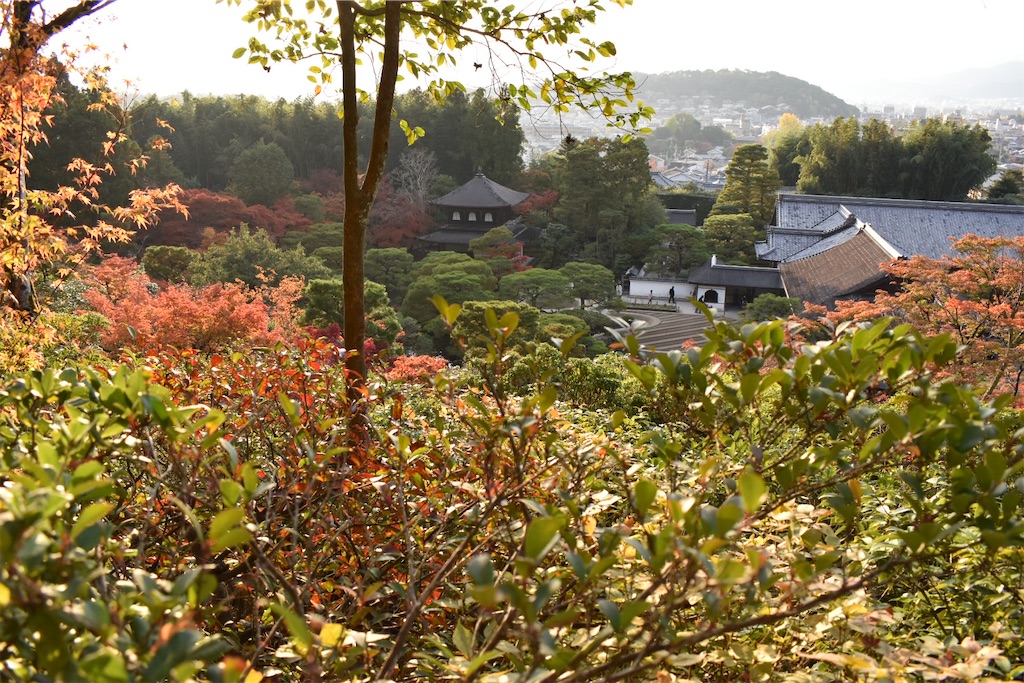 f:id:matsumotoyusuke:20210302150117j:image