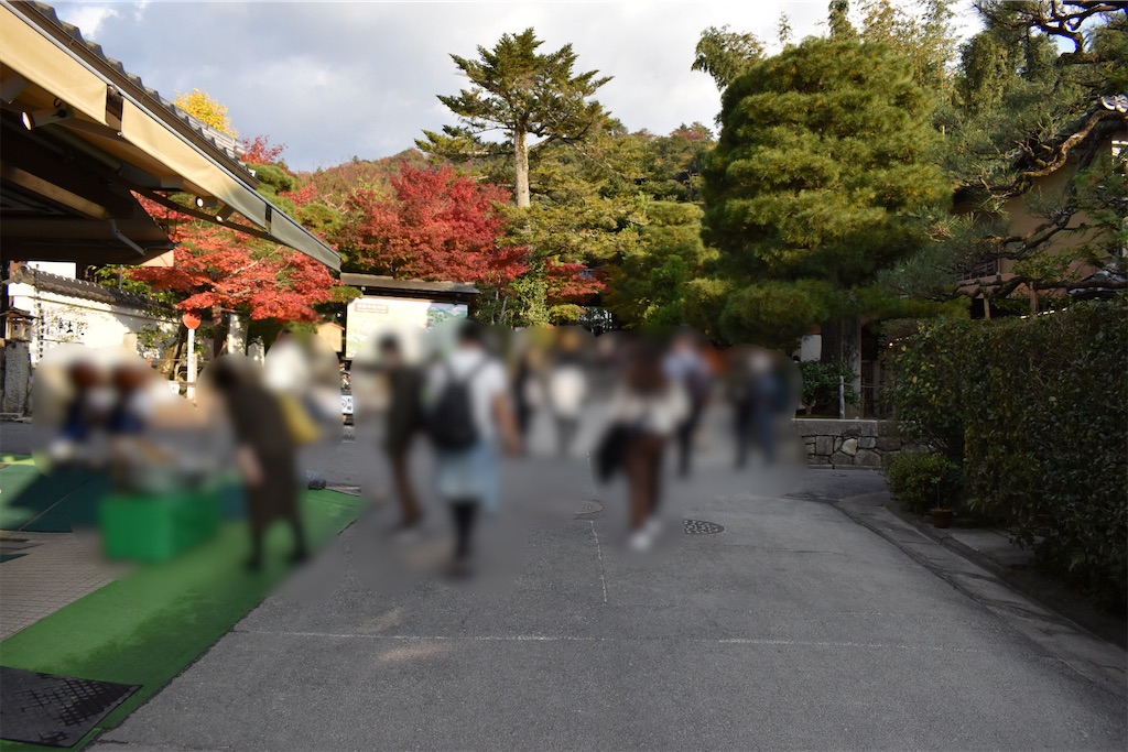 f:id:matsumotoyusuke:20210302150128j:image