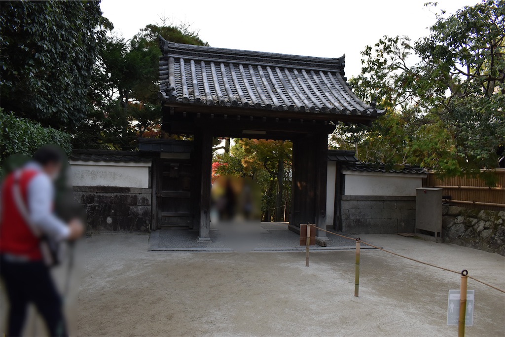 f:id:matsumotoyusuke:20210302150135j:image
