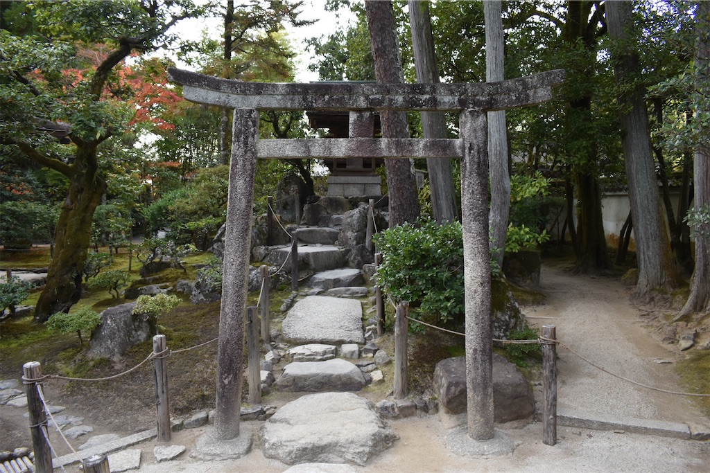 f:id:matsumotoyusuke:20210302150159j:image