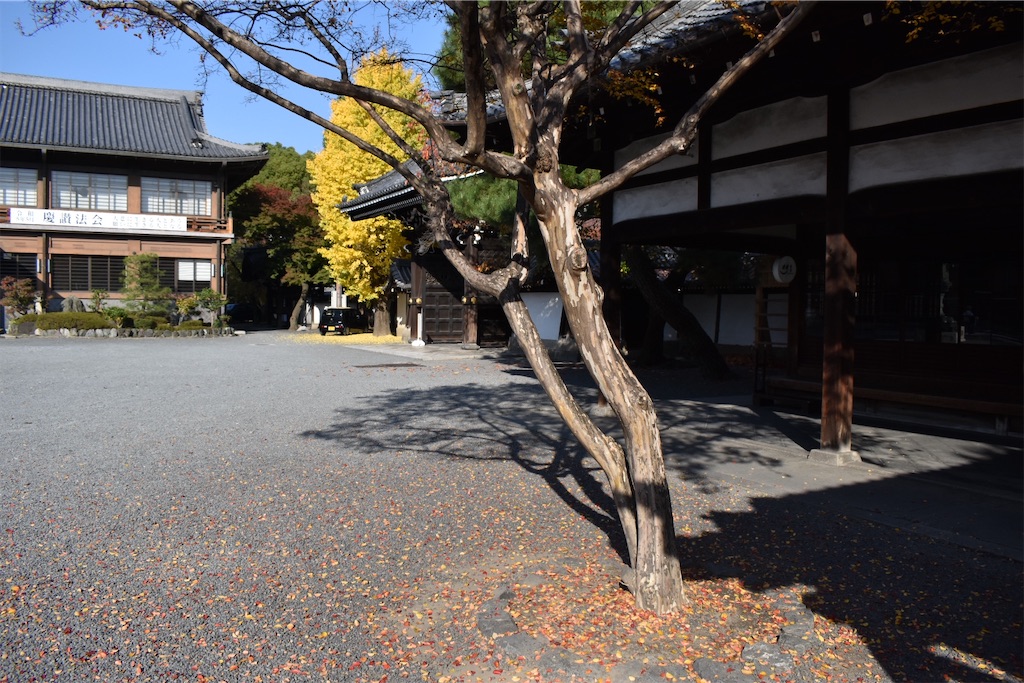f:id:matsumotoyusuke:20210302175909j:image f:id:matsumotoyusuke:20210302175909j:image