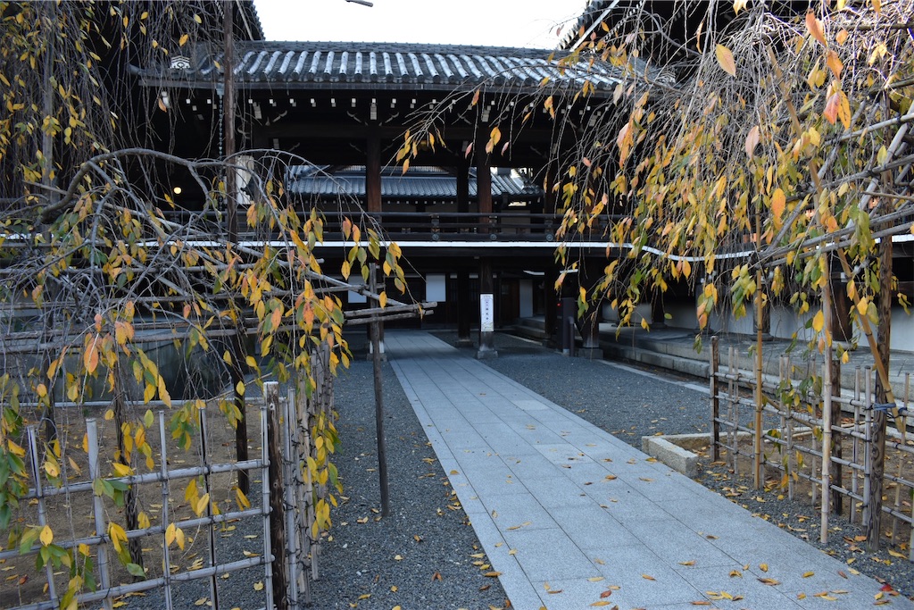 f:id:matsumotoyusuke:20210302180013j:image f:id:matsumotoyusuke:20210302180013j:image