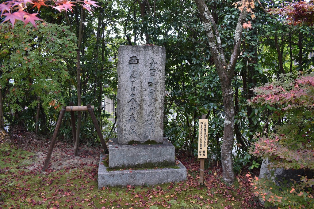 f:id:matsumotoyusuke:20210302180331j:image