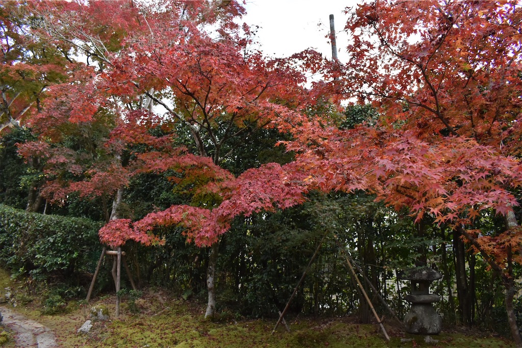 f:id:matsumotoyusuke:20210302180732j:image