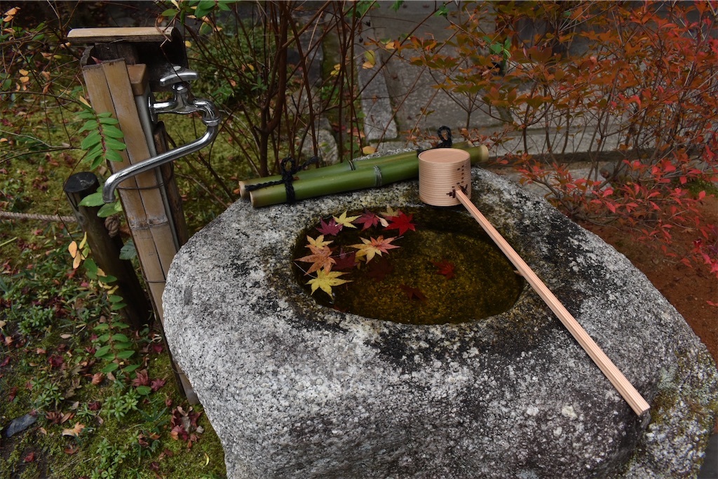 f:id:matsumotoyusuke:20210302180807j:image