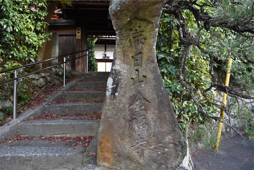 f:id:matsumotoyusuke:20210302180841j:image