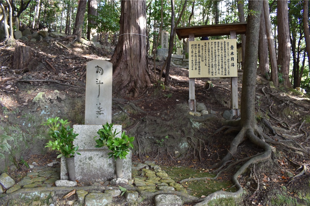 f:id:matsumotoyusuke:20210302180948j:image
