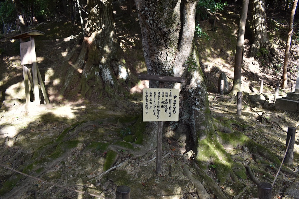 f:id:matsumotoyusuke:20210302181058j:image