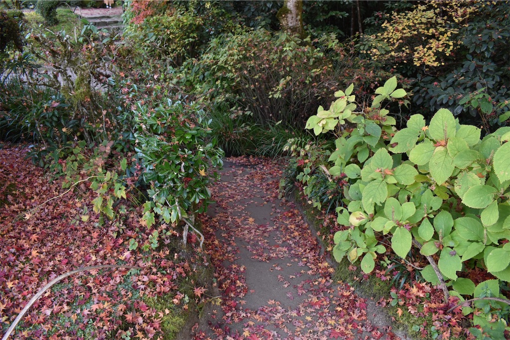 f:id:matsumotoyusuke:20210302182558j:image f:id:matsumotoyusuke:20210302182558j:image