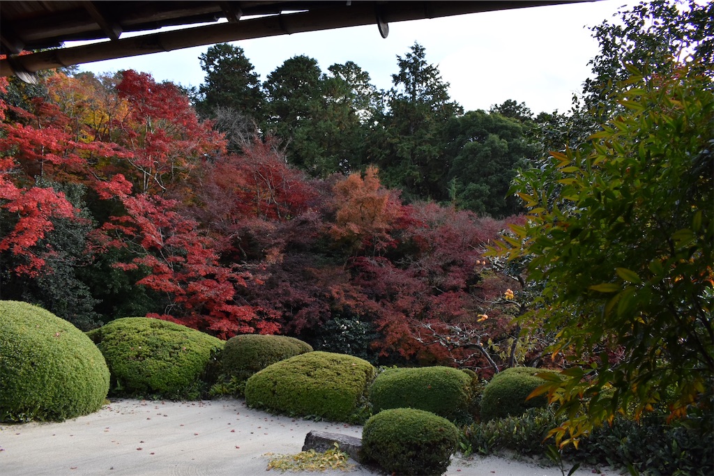 f:id:matsumotoyusuke:20210302182604j:image f:id:matsumotoyusuke:20210302182604j:image