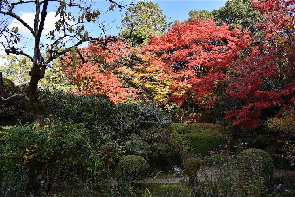 f:id:matsumotoyusuke:20210302182611j:image f:id:matsumotoyusuke:20210302182611j:image