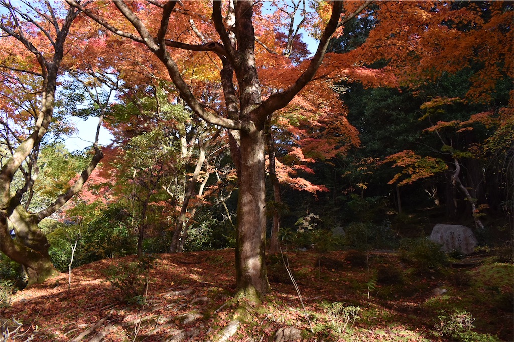 f:id:matsumotoyusuke:20210302182653j:image f:id:matsumotoyusuke:20210302182653j:image