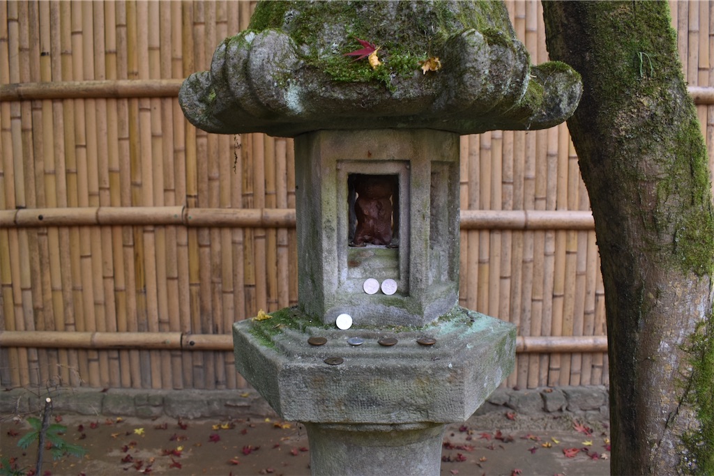 f:id:matsumotoyusuke:20210302182658j:image f:id:matsumotoyusuke:20210302182658j:image