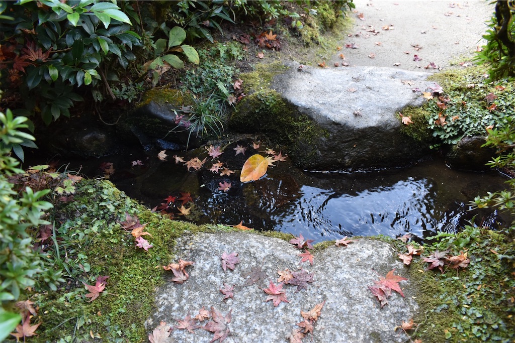 f:id:matsumotoyusuke:20210302182724j:image f:id:matsumotoyusuke:20210302182724j:image