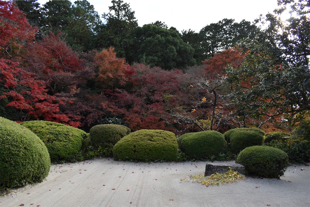 f:id:matsumotoyusuke:20210302182730j:image f:id:matsumotoyusuke:20210302182730j:image