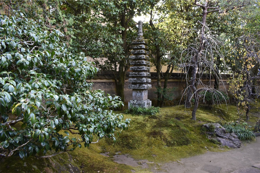 f:id:matsumotoyusuke:20210302182737j:image f:id:matsumotoyusuke:20210302182737j:image