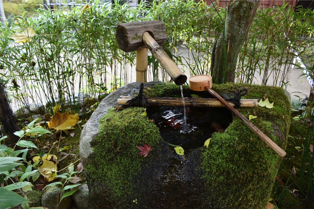 f:id:matsumotoyusuke:20210302182744j:image f:id:matsumotoyusuke:20210302182744j:image