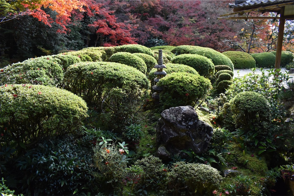 f:id:matsumotoyusuke:20210302182758j:image f:id:matsumotoyusuke:20210302182758j:image