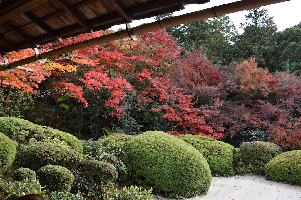 詩仙堂丈山寺 紅葉の美しい詩仙堂丈山寺