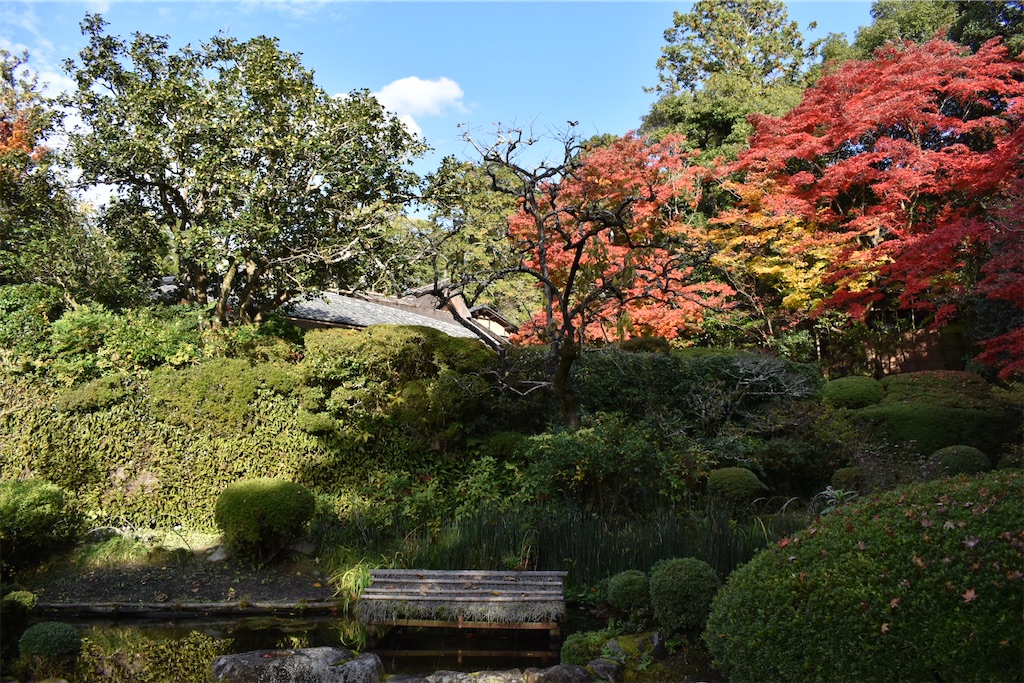 f:id:matsumotoyusuke:20210302182818j:image f:id:matsumotoyusuke:20210302182818j:image