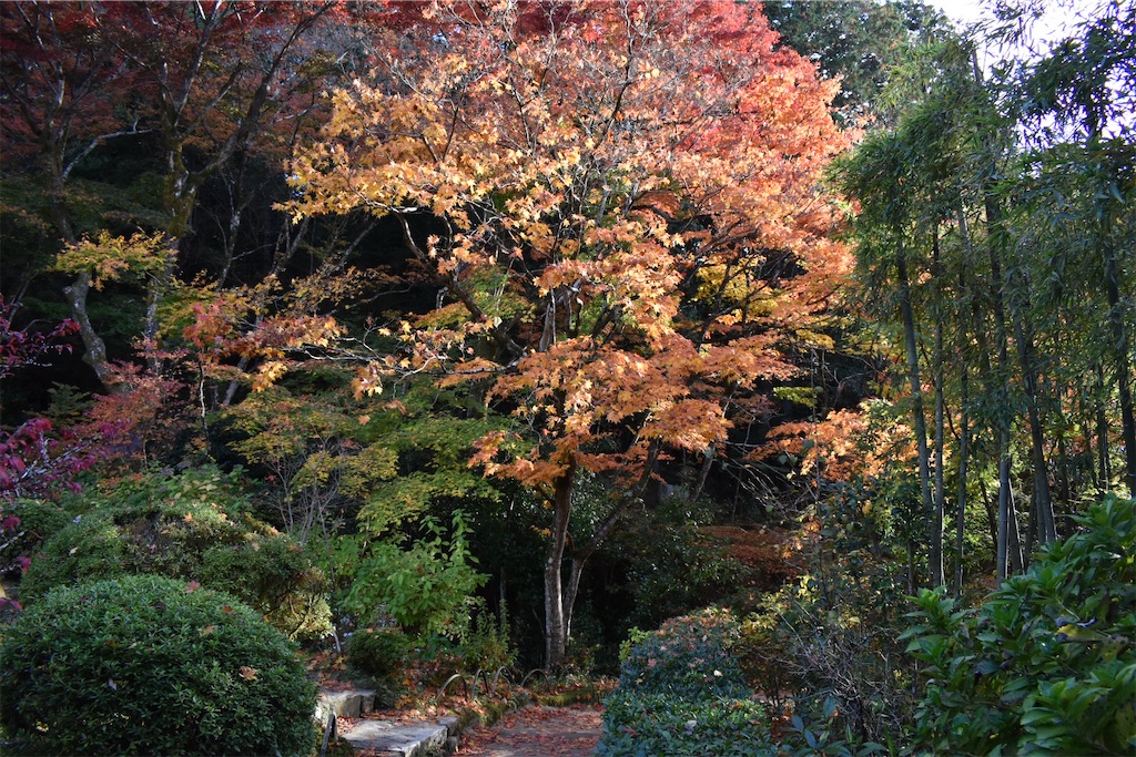 f:id:matsumotoyusuke:20210302182826j:image f:id:matsumotoyusuke:20210302182826j:image