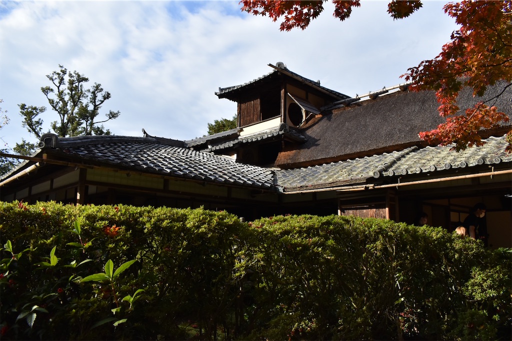 f:id:matsumotoyusuke:20210302182831j:image f:id:matsumotoyusuke:20210302182831j:image