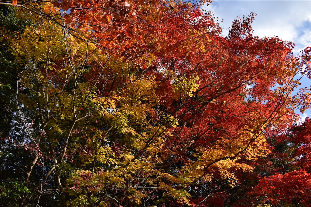 f:id:matsumotoyusuke:20210302190200j:image f:id:matsumotoyusuke:20210302190200j:image