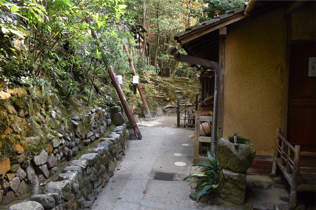 f:id:matsumotoyusuke:20210302190307j:image f:id:matsumotoyusuke:20210302190307j:image