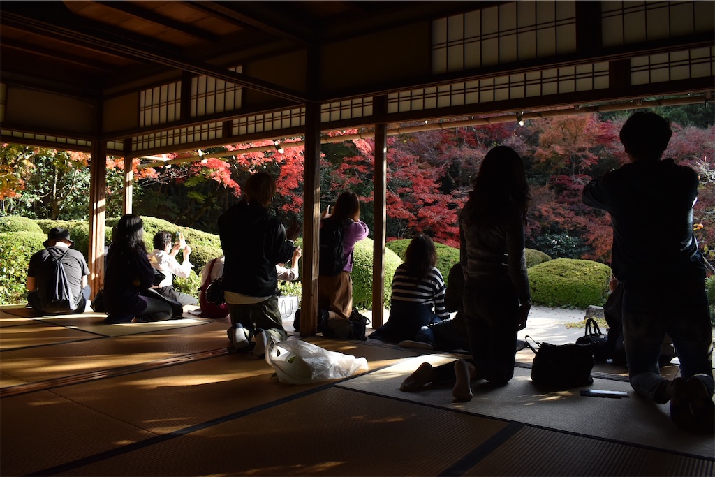f:id:matsumotoyusuke:20210302190312j:image f:id:matsumotoyusuke:20210302190312j:image