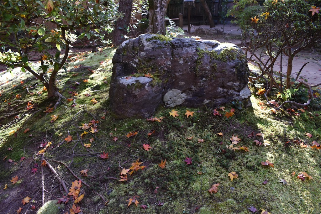 f:id:matsumotoyusuke:20210302190319j:image f:id:matsumotoyusuke:20210302190319j:image