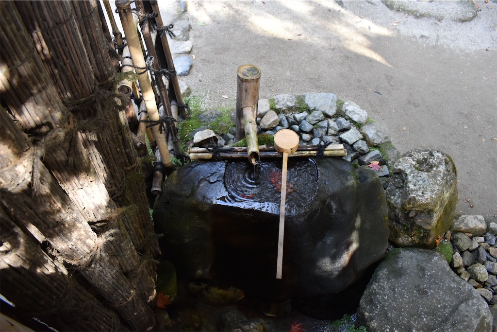 f:id:matsumotoyusuke:20210302190331j:image f:id:matsumotoyusuke:20210302190331j:image
