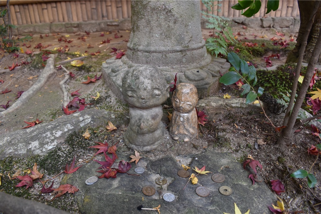 f:id:matsumotoyusuke:20210302190350j:image f:id:matsumotoyusuke:20210302190350j:image