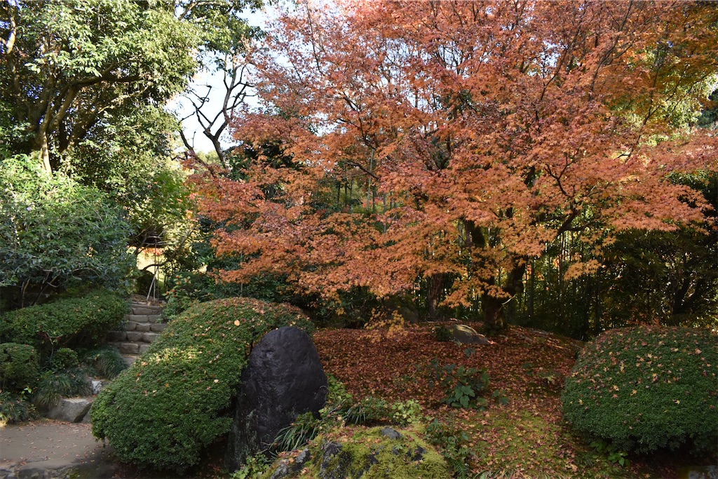 f:id:matsumotoyusuke:20210302190424j:image f:id:matsumotoyusuke:20210302190424j:image