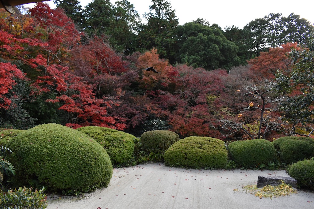 f:id:matsumotoyusuke:20210302190430j:image f:id:matsumotoyusuke:20210302190430j:image