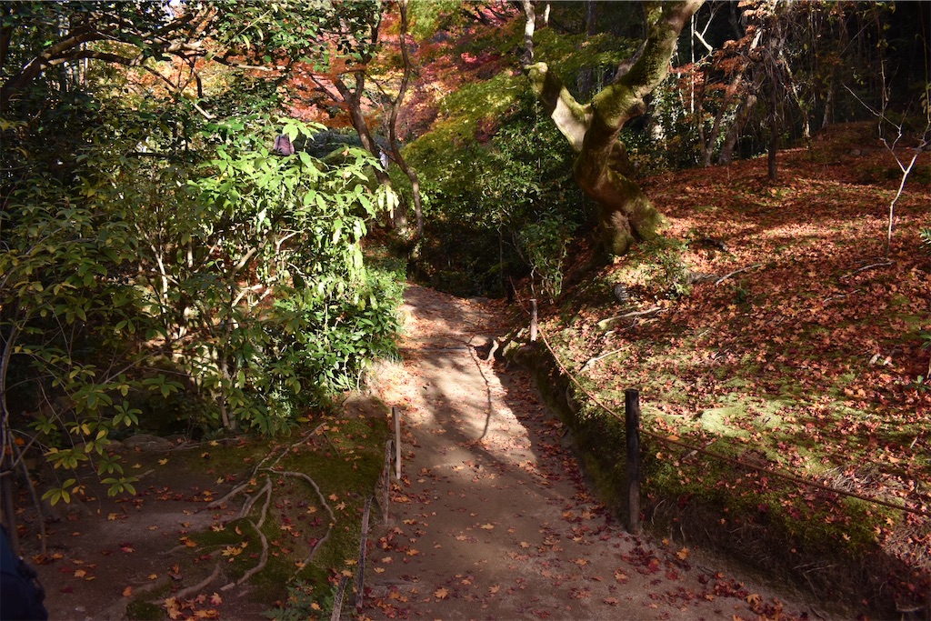 f:id:matsumotoyusuke:20210302190439j:image f:id:matsumotoyusuke:20210302190439j:image