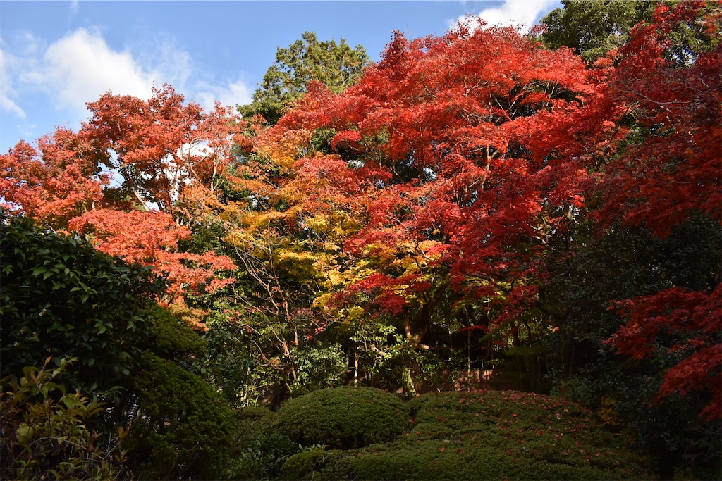 f:id:matsumotoyusuke:20210302190459j:image f:id:matsumotoyusuke:20210302190459j:image