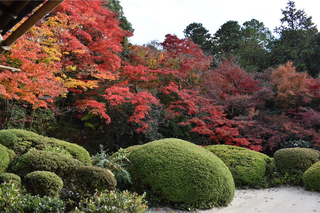 f:id:matsumotoyusuke:20210302190551j:image f:id:matsumotoyusuke:20210302190551j:image