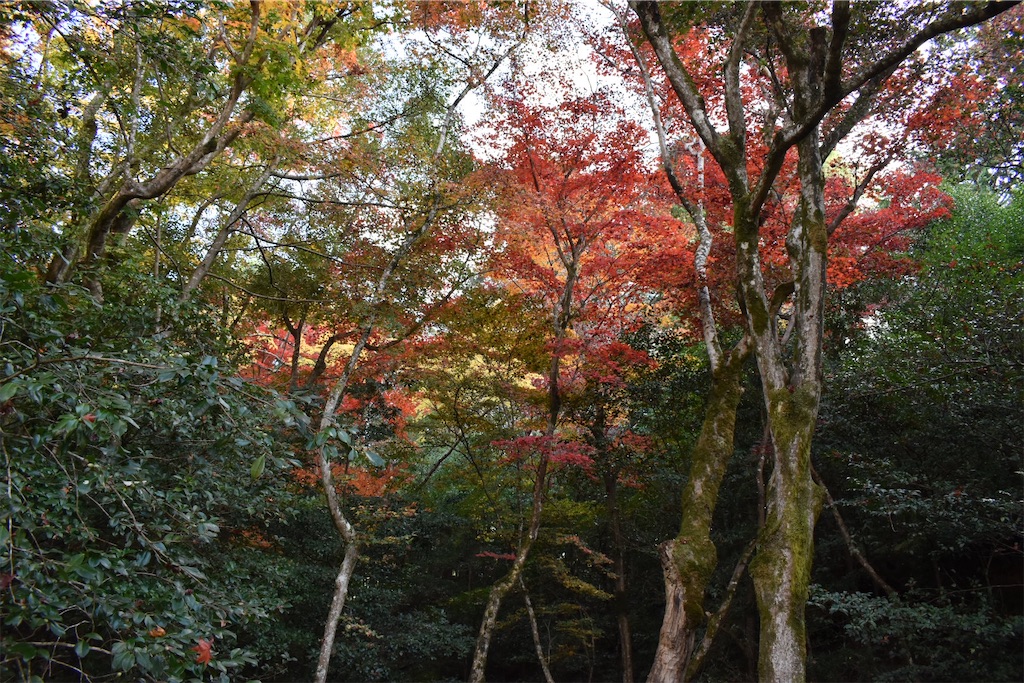 f:id:matsumotoyusuke:20210302190557j:image f:id:matsumotoyusuke:20210302190557j:image