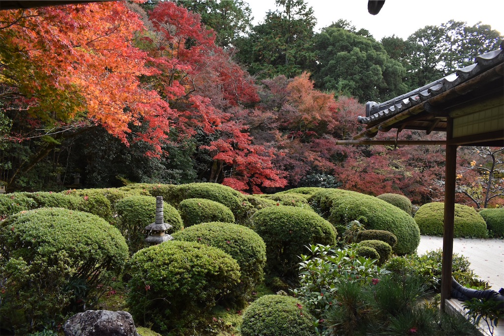 f:id:matsumotoyusuke:20210302190604j:image f:id:matsumotoyusuke:20210302190604j:image